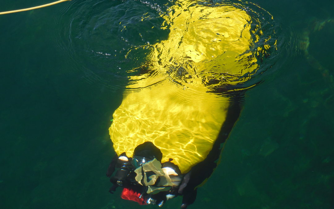 Le ROV Tortuga arrive en Arabie Saoudite